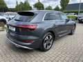 Audi e-tron 50 quattro S line*VC*20 Zoll*Kamera* Grijs - thumbnail 6