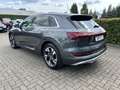Audi e-tron 50 quattro S line*VC*20 Zoll*Kamera* Grijs - thumbnail 8