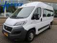Fiat Ducato Combinato 35 9-PERS. 3.0 NATURAL POWER CNG / BENZI Wit - thumbnail 1