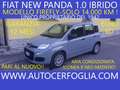 Fiat Panda III 2021 1.0 firefly hybrid -SOLO 14.000 KM!!! Gris - thumbnail 1