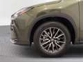 Lexus NX 350h Premium+ 2WD - thumbnail 16
