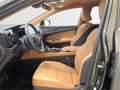 Lexus NX 350h Premium+ 2WD - thumbnail 12