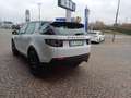 Land Rover Discovery Sport Discovery Sport 2.0 td4 HSE awd 150cv auto Blanco - thumbnail 3