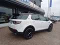 Land Rover Discovery Sport Discovery Sport 2.0 td4 HSE awd 150cv auto Weiß - thumbnail 4