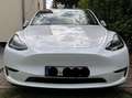 Tesla Model Y Long Range Dual Motor AWD Weiß - thumbnail 2