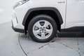 Toyota RAV 4 2.5 hybrid 2WD Business Weiß - thumbnail 11