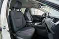 Toyota RAV 4 2.5 hybrid 2WD Business Weiß - thumbnail 15