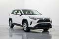 Toyota RAV 4 2.5 hybrid 2WD Business Weiß - thumbnail 3