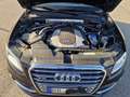 Audi SQ5 3.0 TDI competition quattro Schwarz - thumbnail 10
