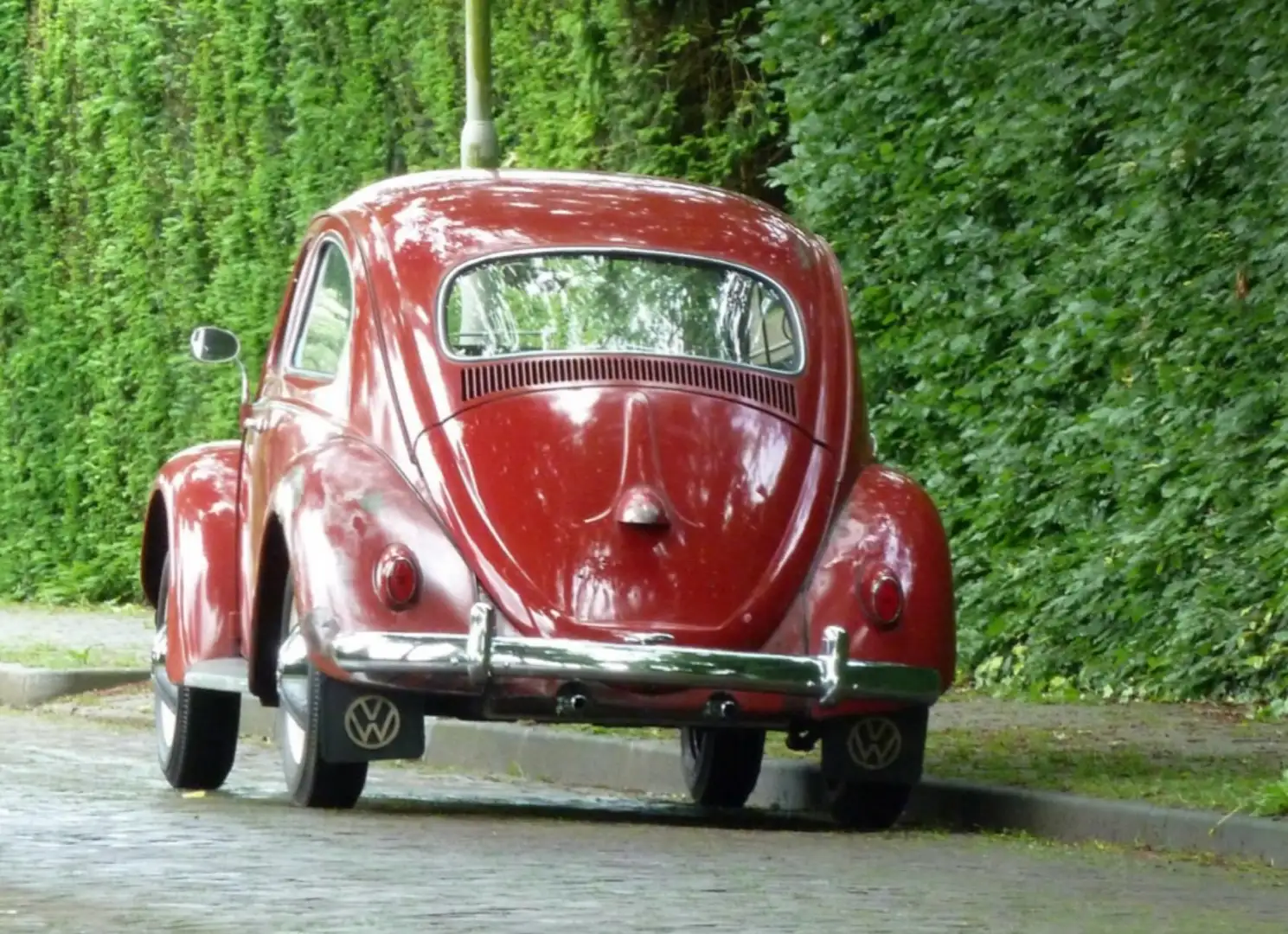 Volkswagen Beetle Червоний - 2