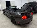 Ford Mustang 3.7 Cabrio*LED*Sitzklima*Leder*Kamera* Gris - thumbnail 3