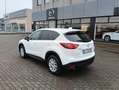 Mazda CX-5 CX-5 I 2012 2.2 Evolve 4wd 150cv Weiß - thumbnail 19