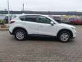 Mazda CX-5 CX-5 I 2012 2.2 Evolve 4wd 150cv Weiß - thumbnail 2