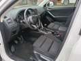 Mazda CX-5 CX-5 I 2012 2.2 Evolve 4wd 150cv Weiß - thumbnail 20