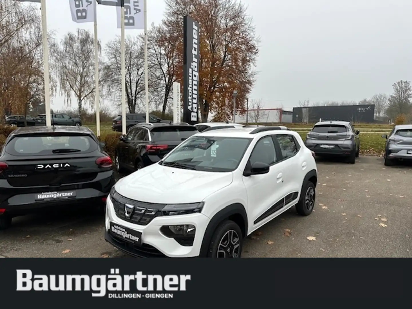 Dacia Spring Electric Comfort Plus CCS-Anschluss/Kamera Weiß - 1
