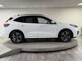 Ford Kuga 2.5 PHEV ST-Line Winterpack - Elec. Trekhaak - 360 Blanc - thumbnail 6