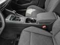 Volkswagen Golf 1.0 TSI Life NAVI LM ACC PDC KLIMAA VICO Blau - thumbnail 14