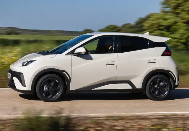 BYD Dolphin Surf