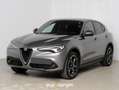 Alfa Romeo Stelvio 2.2 Turbodiesel 210 CV AT8 Q4 Executive Grigio - thumbnail 1