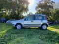Fiat Panda 1.2 * Cinghia Distribuzione sostituita 22.000km fa Grigio - thumbnail 4