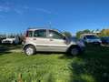 Fiat Panda 1.2 * Cinghia Distribuzione sostituita 22.000km fa Grigio - thumbnail 6