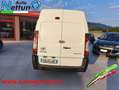 Toyota Proace Proace 2.0D 122CV Furgone Long 14q Passo Lungo-Tet Bianco - thumbnail 6