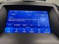 Ford S-Max S-MAX Titanium 2.0 EcoBlue SCR Aut. *AHK*Tempomat* Silber - thumbnail 30