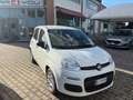 Fiat Panda Panda III 2021 1.0 firefly hybrid s&s 5POSTI Bianco - thumbnail 1