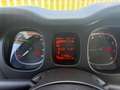 Fiat Panda Panda III 2021 1.0 firefly hybrid s&s 5POSTI Bianco - thumbnail 9