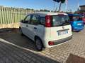Fiat Panda Panda III 2021 1.0 firefly hybrid s&s 5POSTI Bianco - thumbnail 6