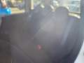 Fiat Panda Panda III 2021 1.0 firefly hybrid s&s 5POSTI Bianco - thumbnail 7