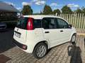 Fiat Panda Panda III 2021 1.0 firefly hybrid s&s 5POSTI Bianco - thumbnail 3