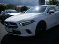 Mercedes-Benz A 220 Progressive PTS NAVI LED MBUX VOLL-LED Weiß - thumbnail 23