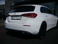 Mercedes-Benz A 220 Progressive PTS NAVI LED MBUX VOLL-LED Weiß - thumbnail 22