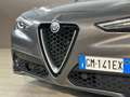 Alfa Romeo Stelvio 2.2 Super Business 160CV auto Grey - thumbnail 30