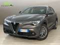 Alfa Romeo Stelvio 2.2 Super Business 160CV auto Grey - thumbnail 1