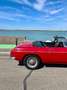 MG MGB Rot - thumbnail 8