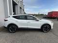 CUPRA Formentor 2.0 tdi 4drive 150cv dsg PREZZO REALE Bianco - thumbnail 5