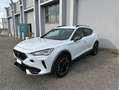 CUPRA Formentor 2.0 tdi 4drive 150cv dsg PREZZO REALE Bianco - thumbnail 3