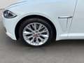 Jaguar XF 3.0 V6 Diesel/Navi/Kamera/Totwinkel/Xenon Blanc - thumbnail 10