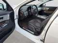 Jaguar XF 3.0 V6 Diesel/Navi/Kamera/Totwinkel/Xenon Blanc - thumbnail 12