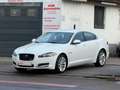 Jaguar XF 3.0 V6 Diesel/Navi/Kamera/Totwinkel/Xenon Blanc - thumbnail 22