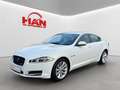 Jaguar XF 3.0 V6 Diesel/Navi/Kamera/Totwinkel/Xenon Blanc - thumbnail 2