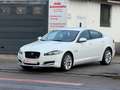 Jaguar XF 3.0 V6 Diesel/Navi/Kamera/Totwinkel/Xenon Blanc - thumbnail 20