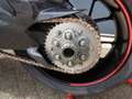 Ducati Panigale V2 Circuitmotor - BTW Rouge - thumbnail 4