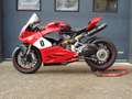 Ducati Panigale V2 Circuitmotor - BTW Rouge - thumbnail 2
