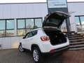 Jeep Compass 1.3 T-GDI I4 Autom. Leder PDC Kamera Blanc - thumbnail 32