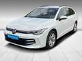 Volkswagen Golf Variant Golf VIII Variant Life 1.5 eTSI DSG Sitzheizung Weiß - thumbnail 2