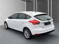 Ford Focus Lim. Cool&Connect Wagen Nr.:035 Weiß - thumbnail 4