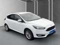 Ford Focus Lim. Cool&Connect Wagen Nr.:035 Weiß - thumbnail 3